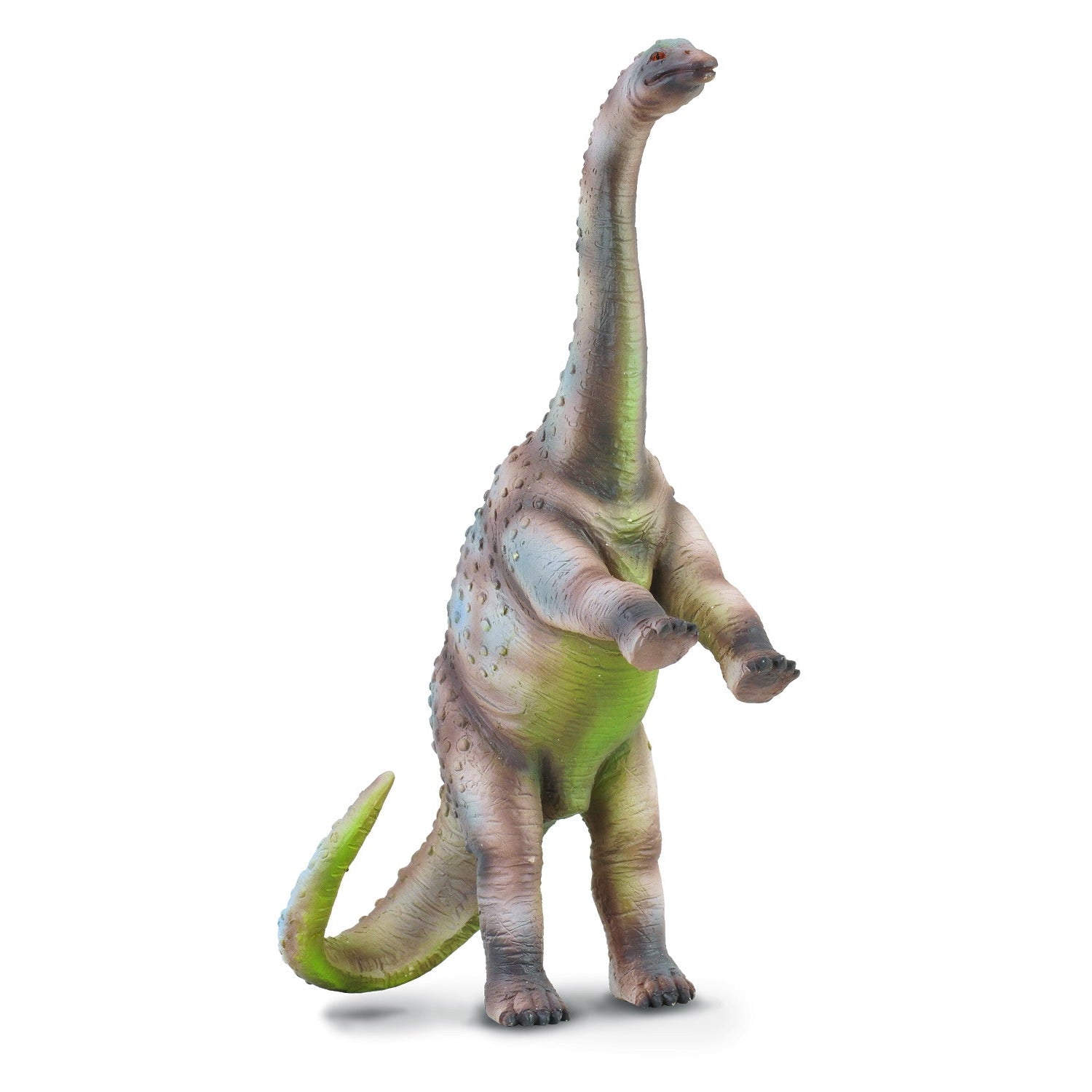 דינוזאורים -  ראוטוזאורוס (L) Default Title