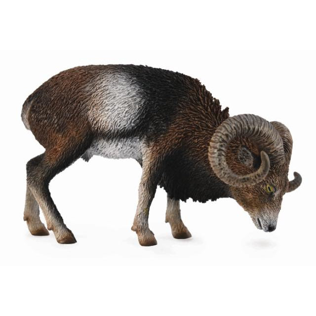 חיות בר - כבש בר, מופלון אירופאי (L) Default Title