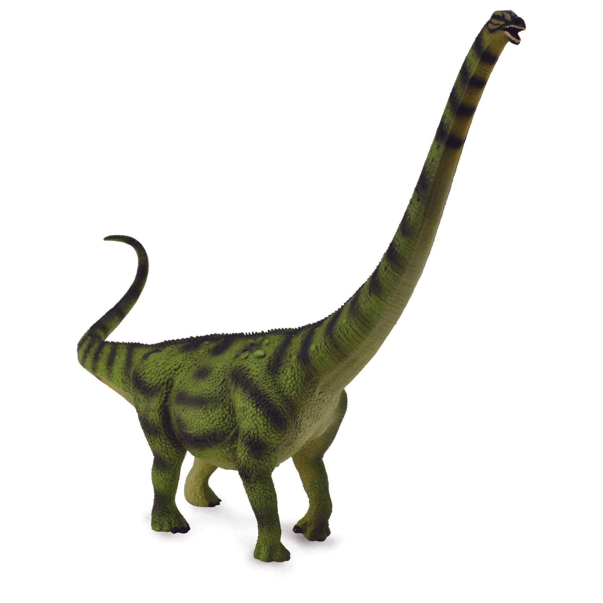 דינוזאורים - דאשיאטיטאן (XL) Default Title