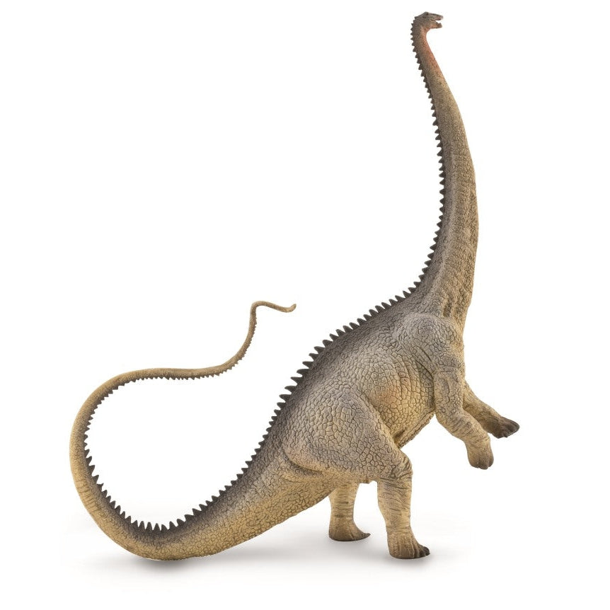 דינוזאורים - דיפלודוקוס אפור  (XL) Default Title