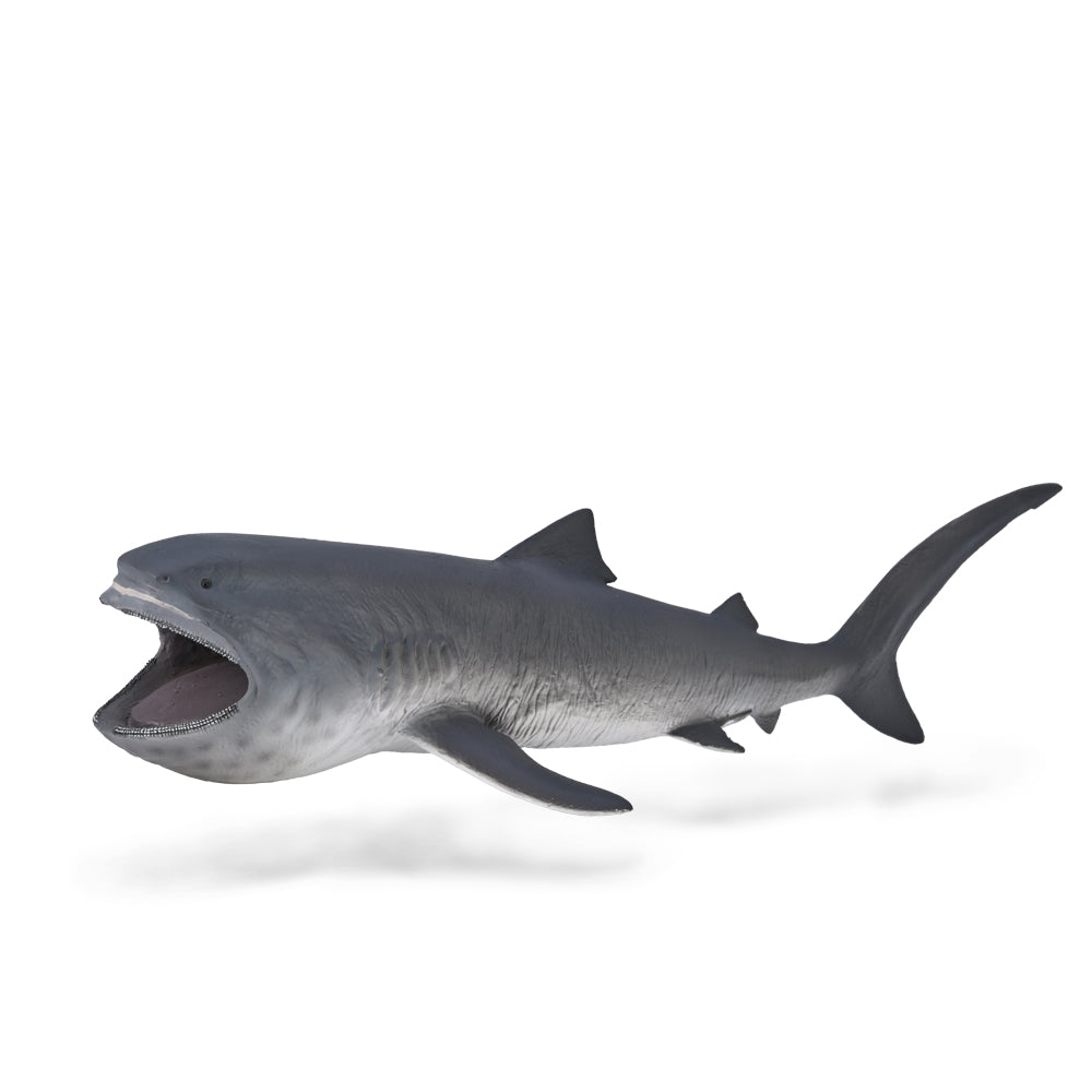 חיות אקיאנוסים וקרח - כריש גדול-פה (XL)