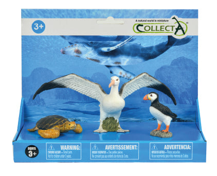 חיות אוקיאנוסים וקרח - סט ( צב ים , אלבטרוס, יסעור)  , מארז