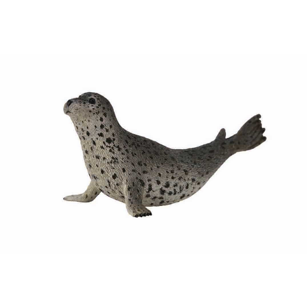 חיות אוקיאנוסים וקרח -  כלב ים , פוקה מנוקדת (L)