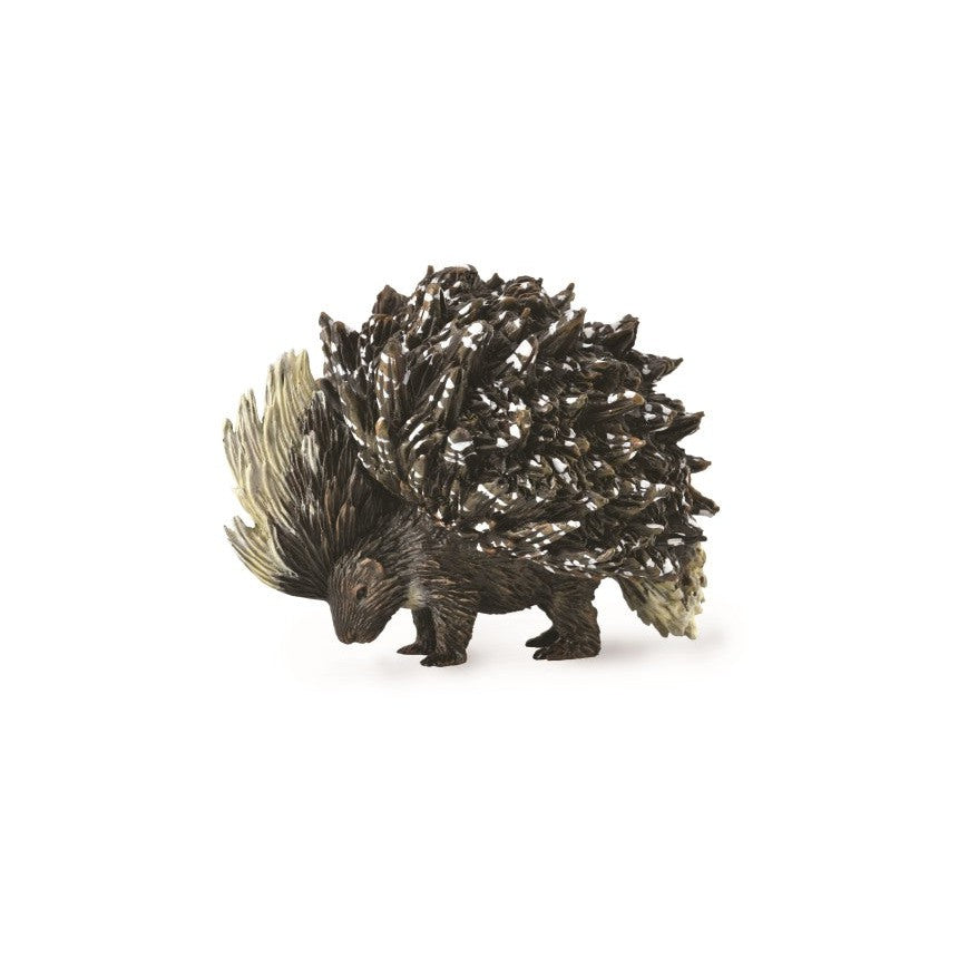 חיות בר - דורבן (L)