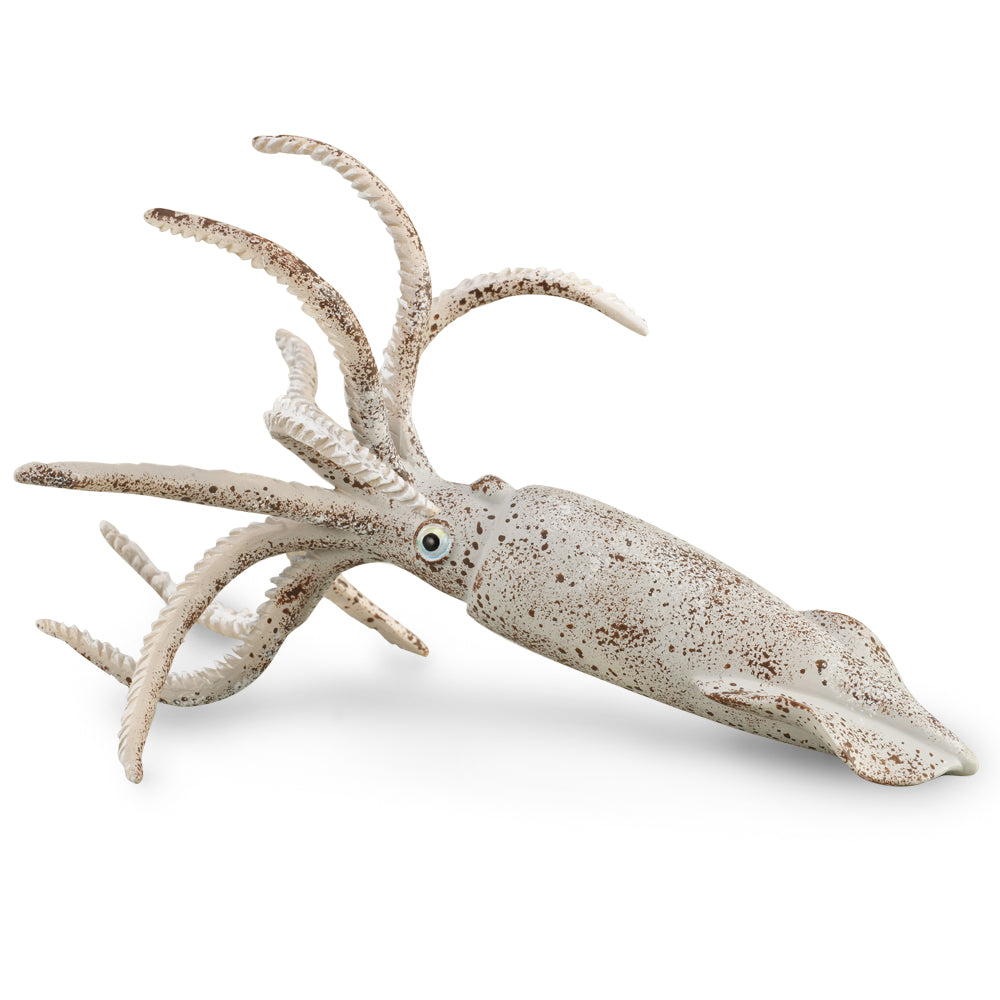 דינוזאורים - בלמניט  (L)