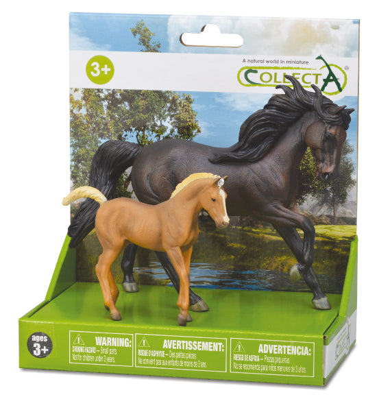 חיות , עולם הסוסים -  סט סוס וסייח  , מארז