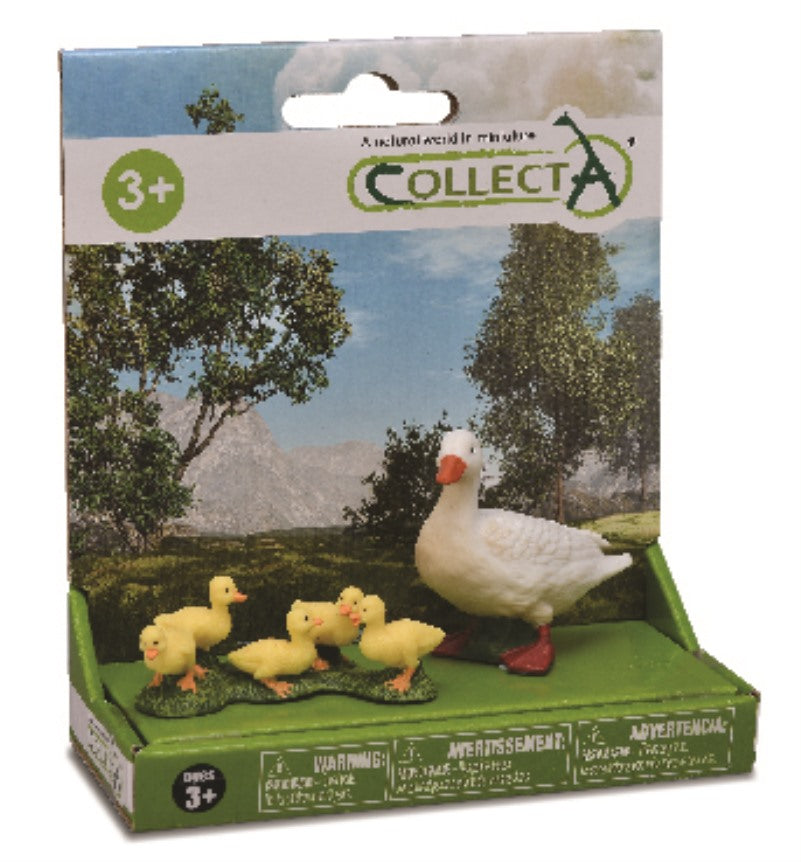 חיות , חווה - ברווז לבן עם ברווזונים , מארז