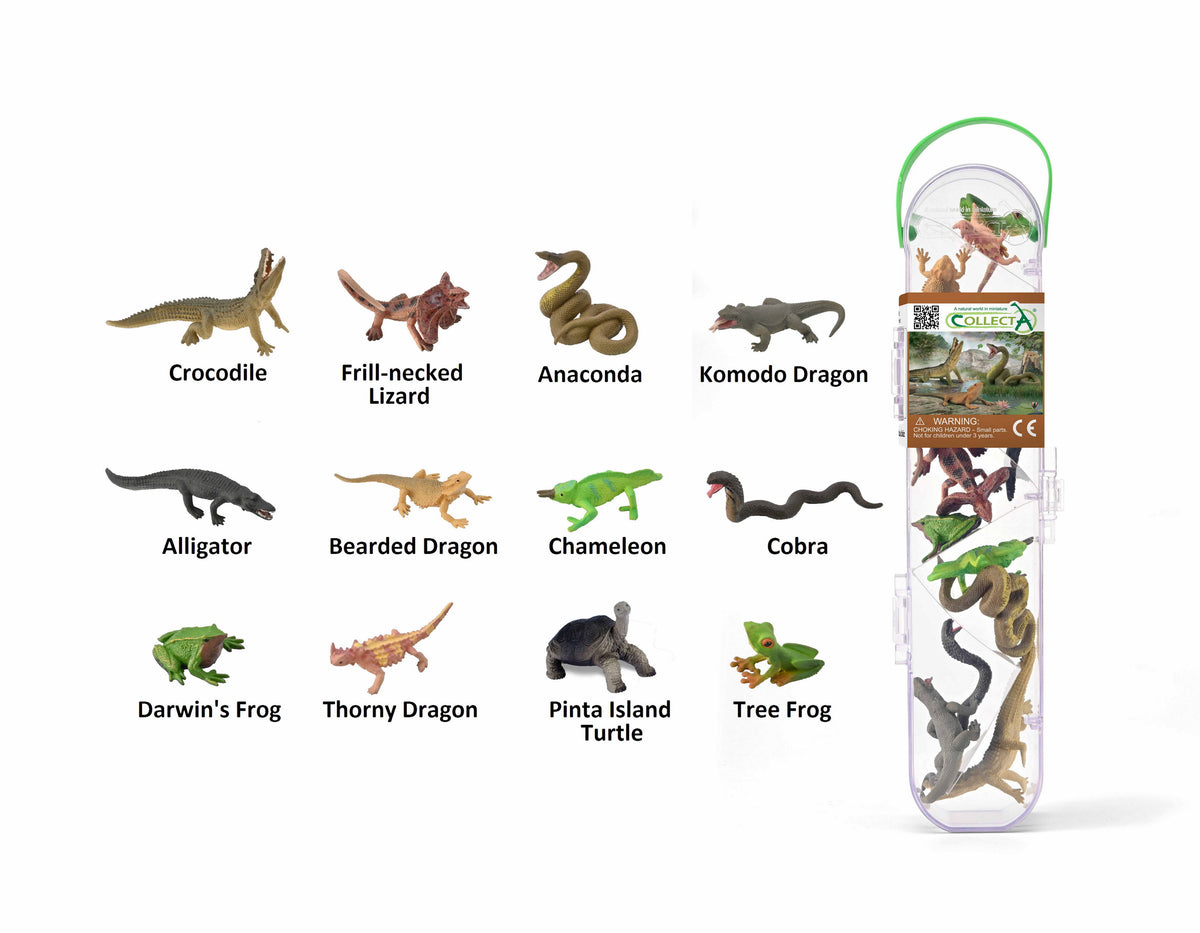 עולם החי מארז - זוחלים ודו חיים (12 חיות)