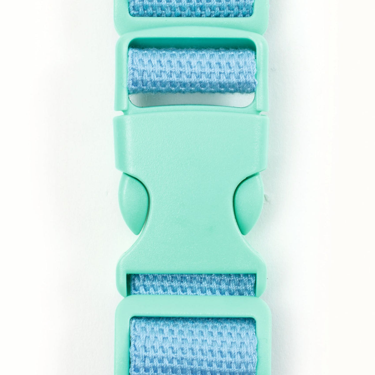 פאוץ&#39; -  פירות