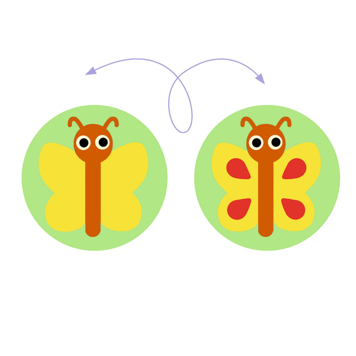 לימודי - גרנדימיקס