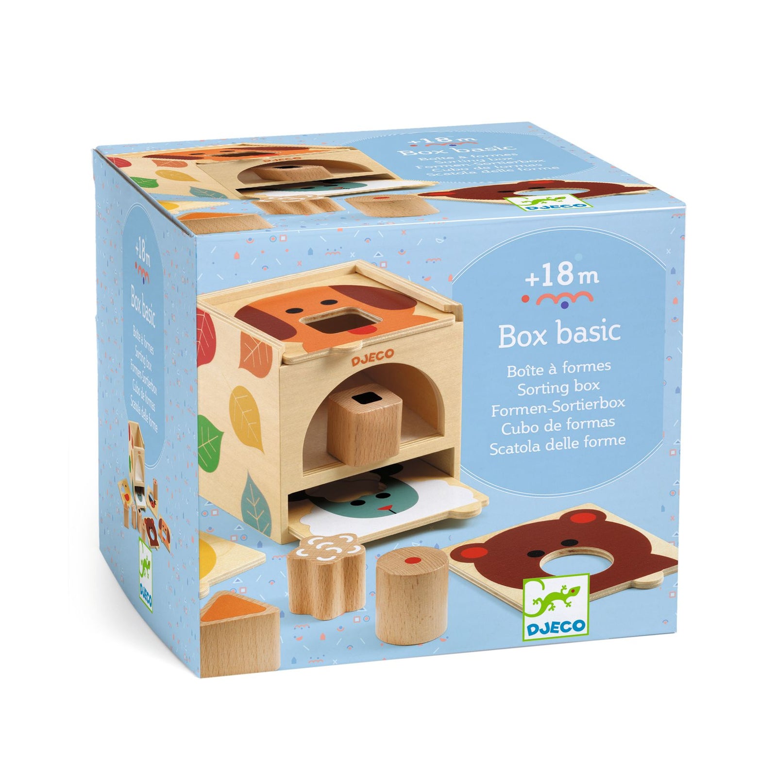 בסיס - קופסת התאמות