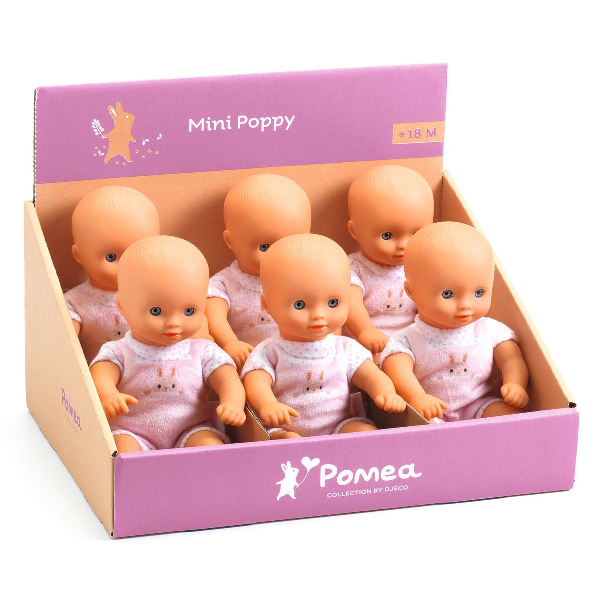 פומיאה - מיני פופי