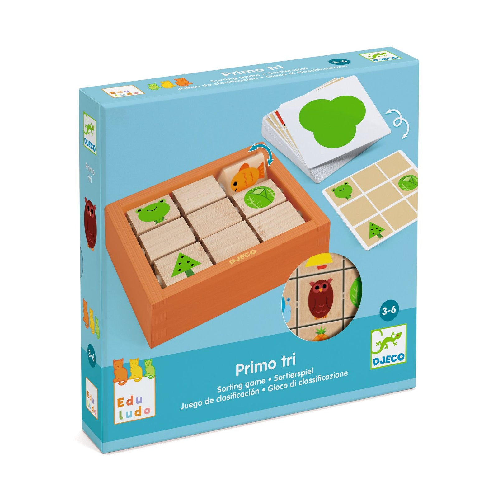 לימודי - משולשים למתחילים