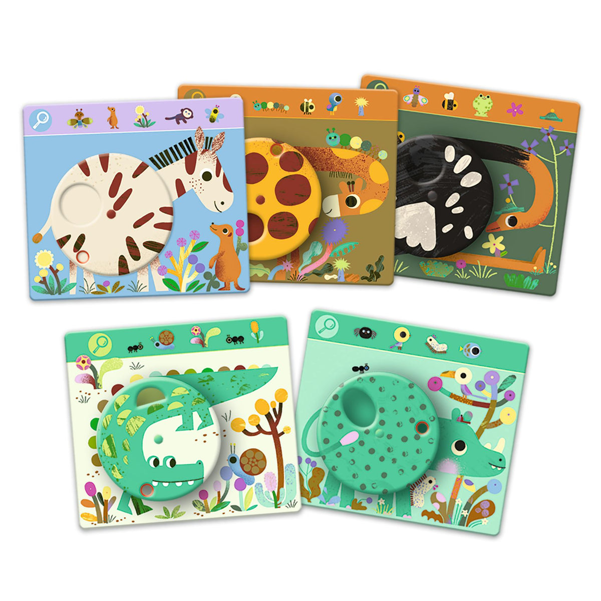 לימודי - חפש  ומצא סוואנה