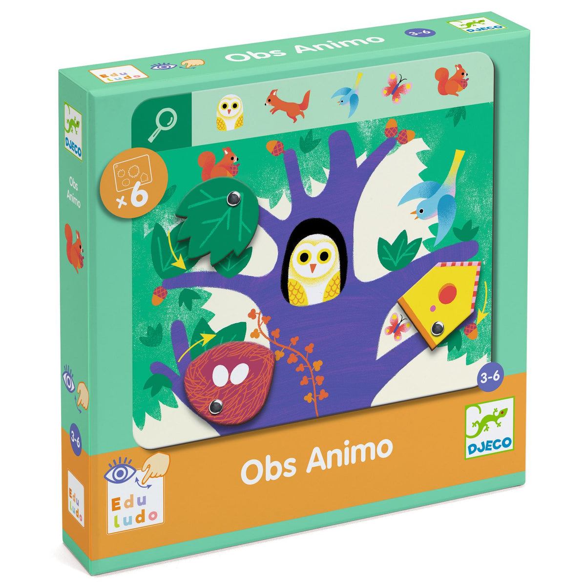 לימודי - חפש  ומצא