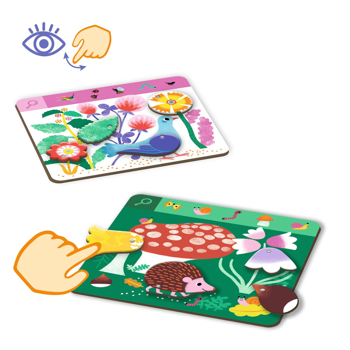 לימודי - חפש  ומצא