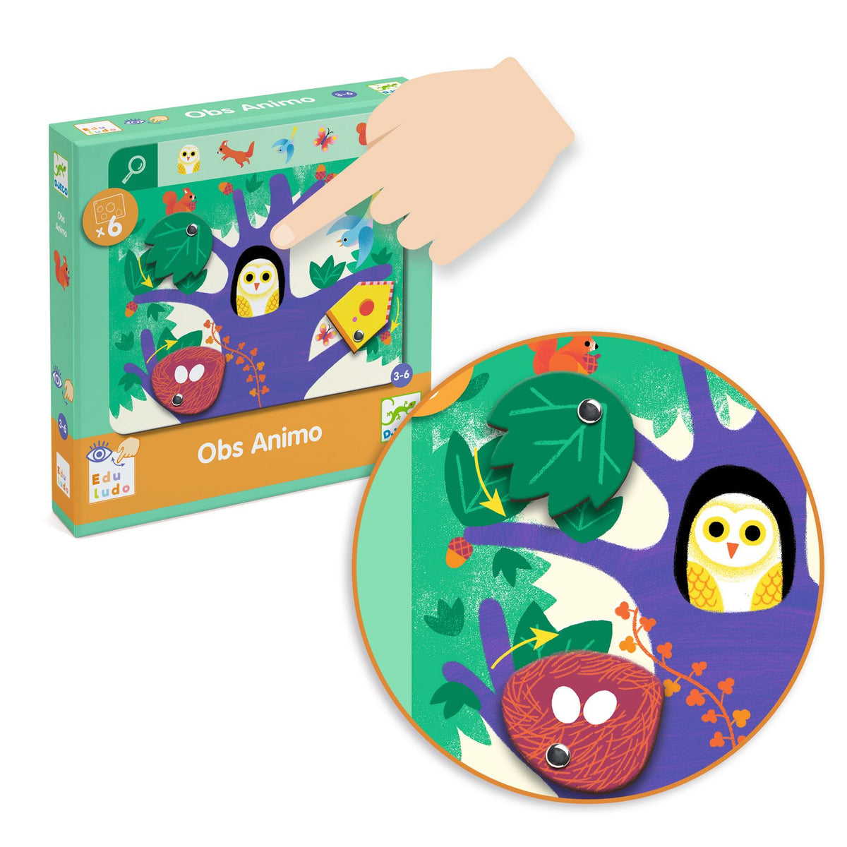 לימודי - חפש  ומצא