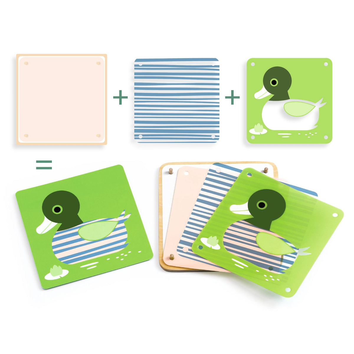 לימודי - חיות בשכבות