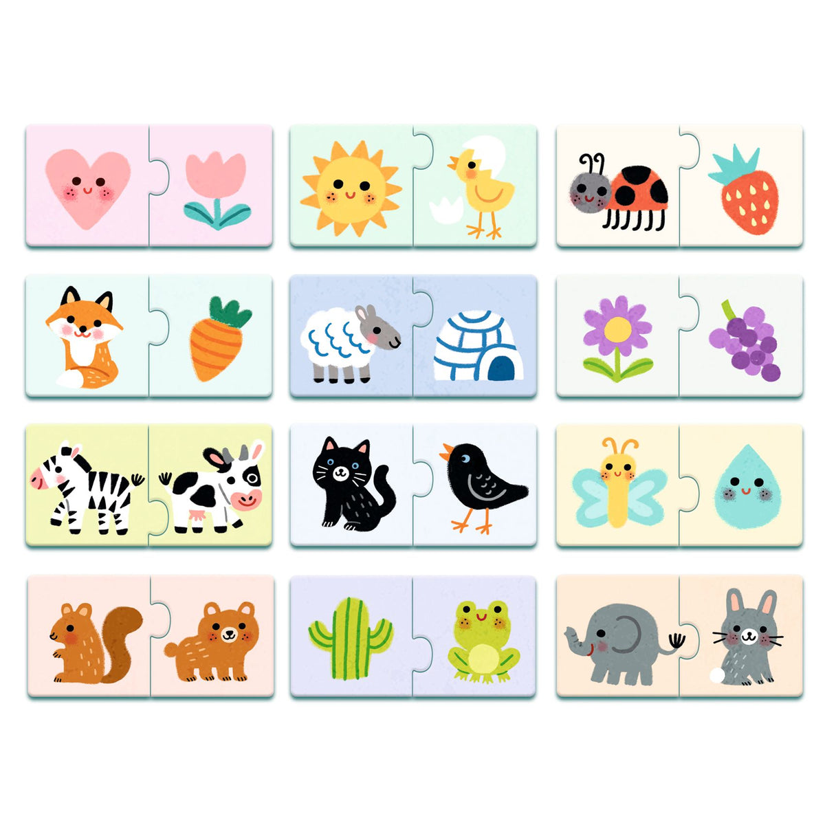 דואו - צבעים