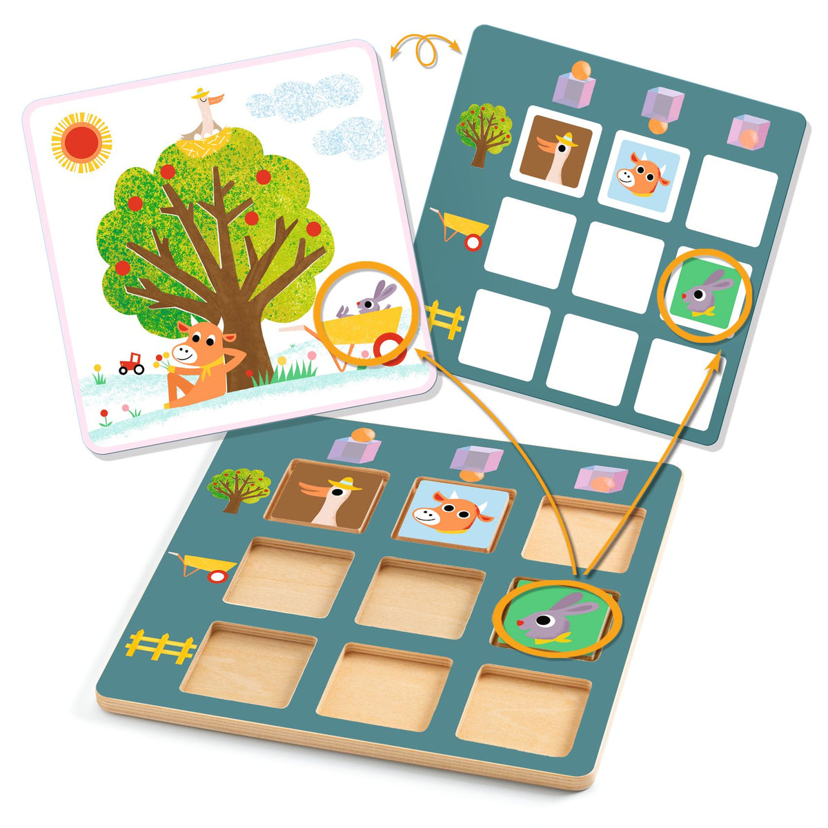 לימודי  - פרימו טופו Default Title