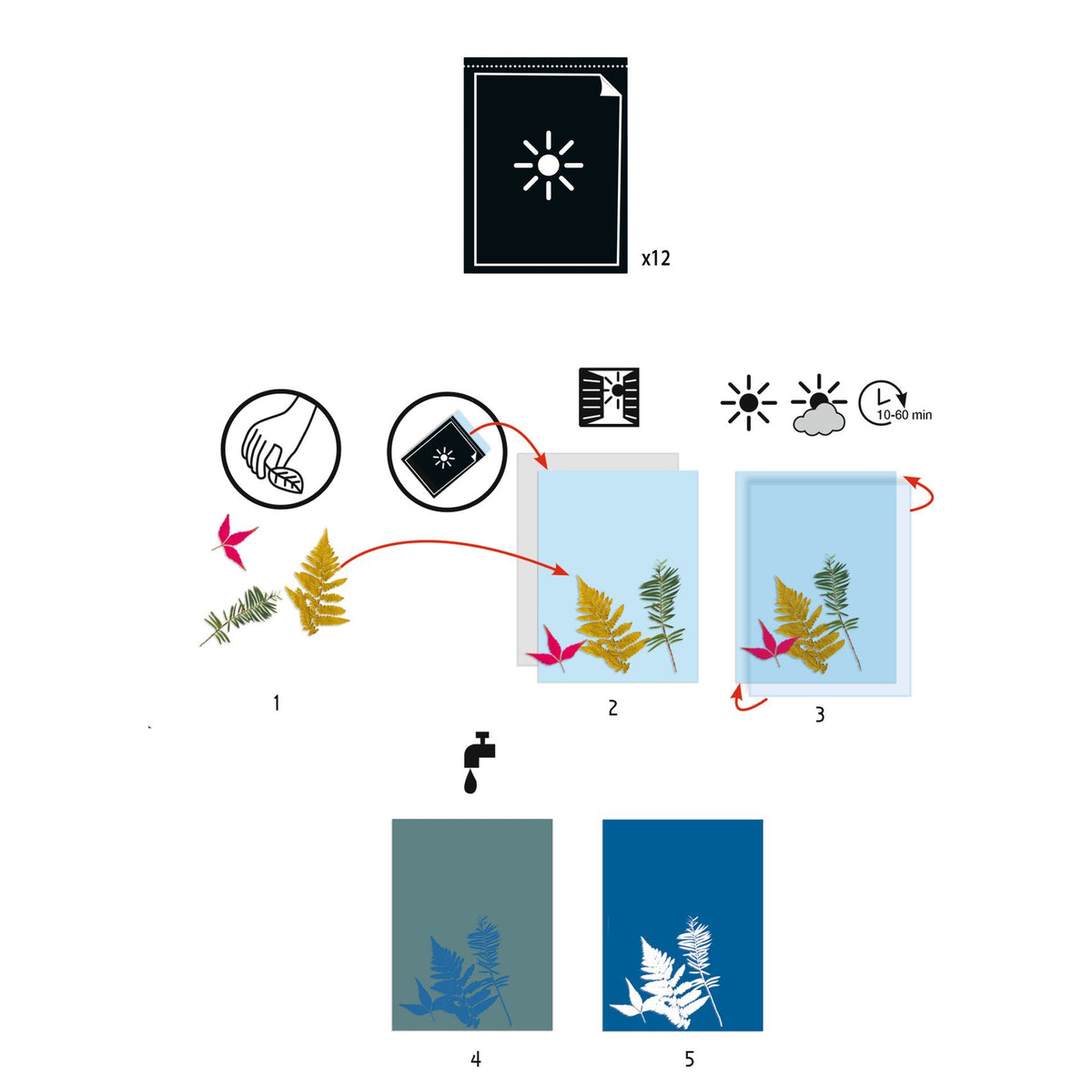 יצירה חומרים - פיתוח תמונות  נייר קופי