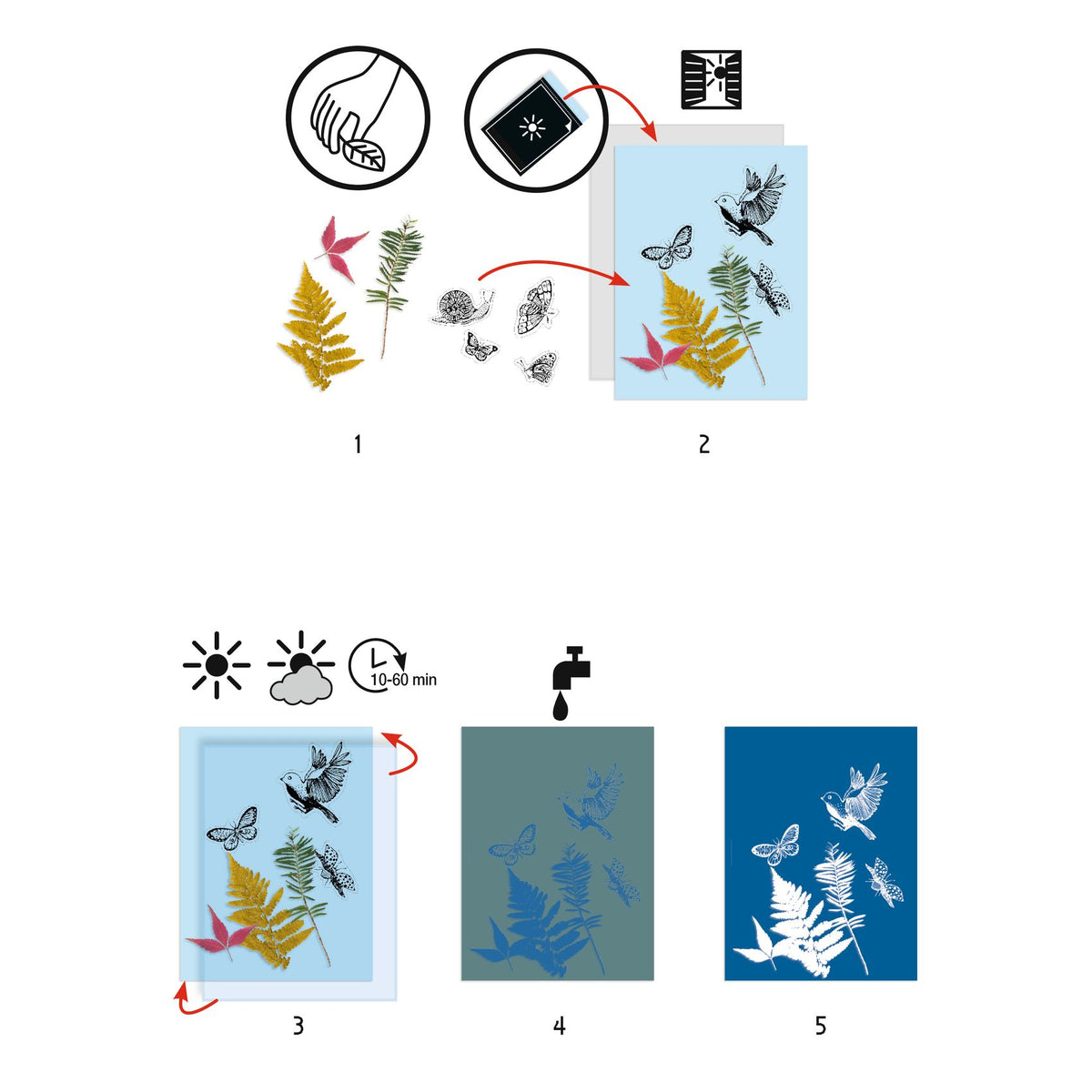 יצירה - פיתוח תמונות ערכה