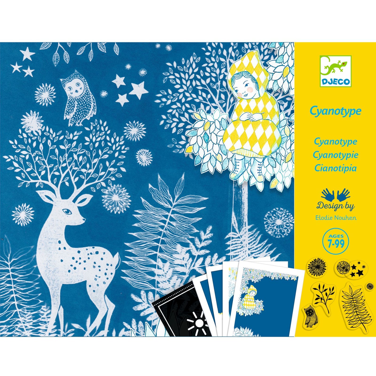 יצירה - פיתוח תמונות אור הירח