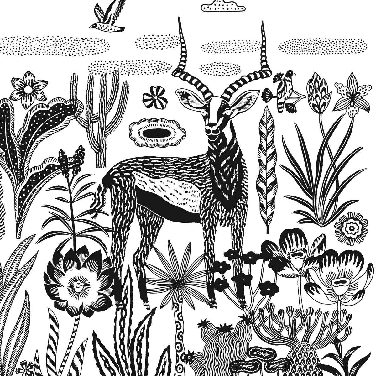 יצירה - פיתוח תמונות סוואנה לילית