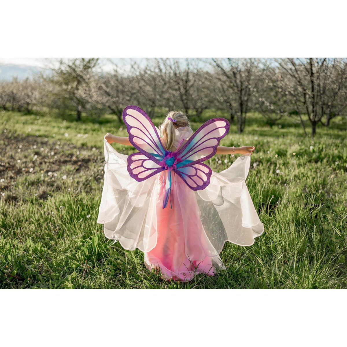 תחפושת 3-4 -  שמלת פרפר מסתובבת + קשת וכנפיים