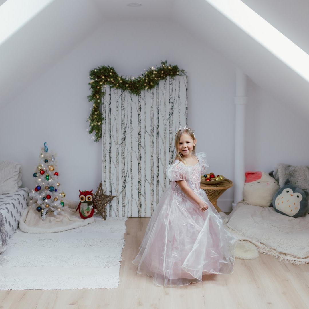 תחפושת 3/4 - שמלת נסיכה מהודרת פלטיניום