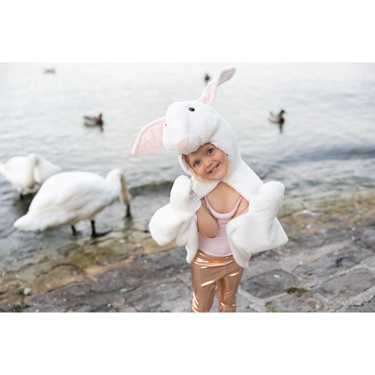 תחפושת 2-3 -  גלימת ארנבת