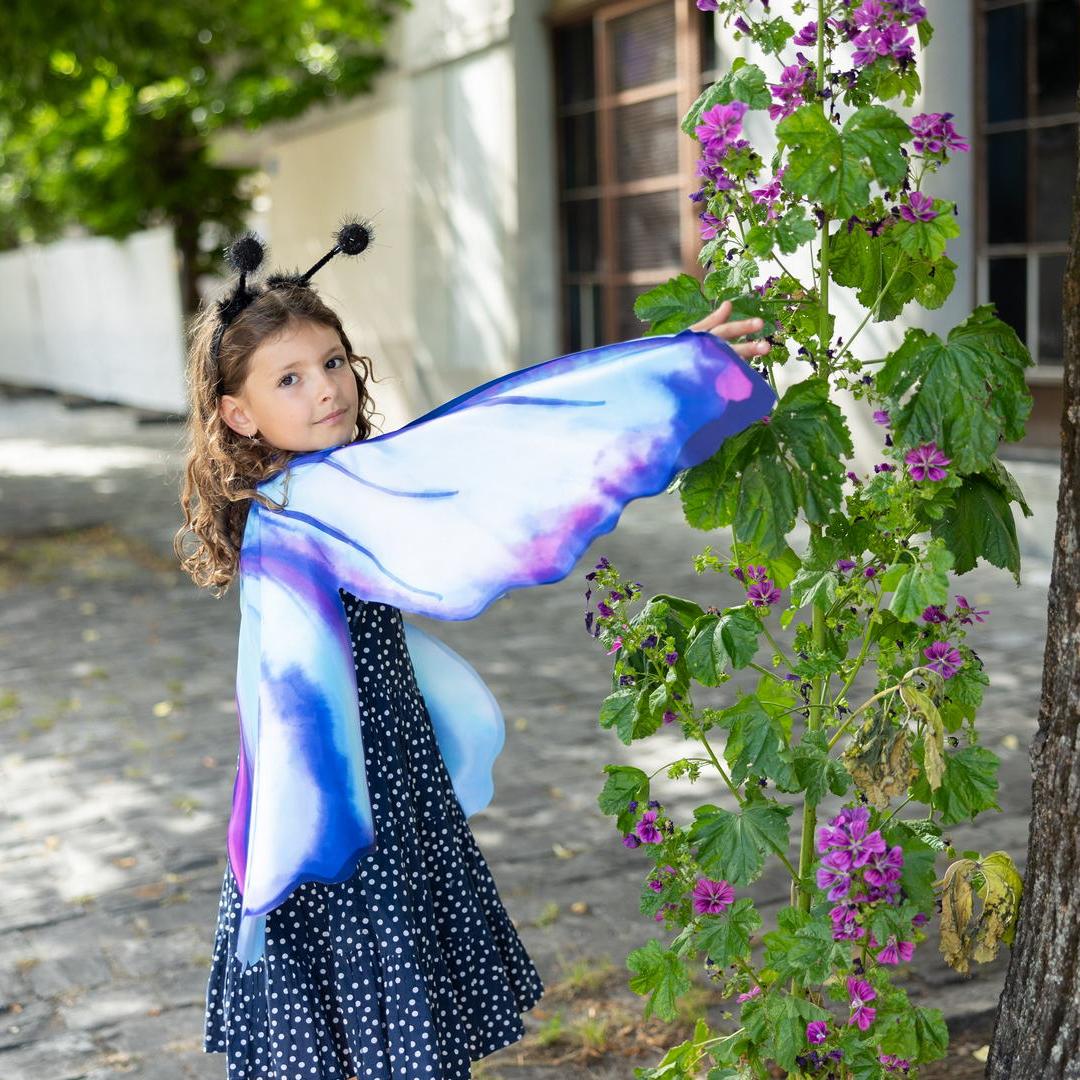 תחפושת 4/6 - כנפי  פרפר  אגדי