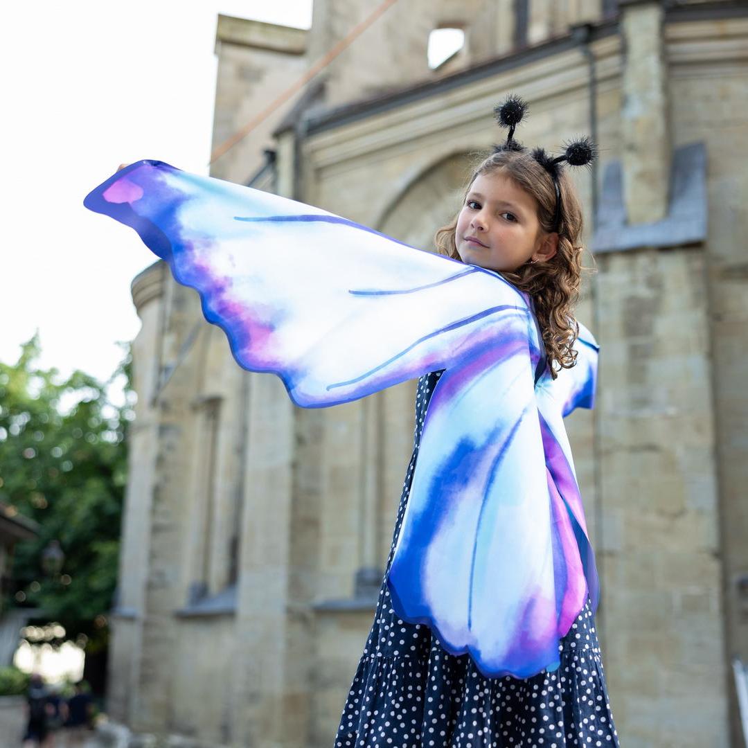 תחפושת 4/6 - כנפי  פרפר  אגדי