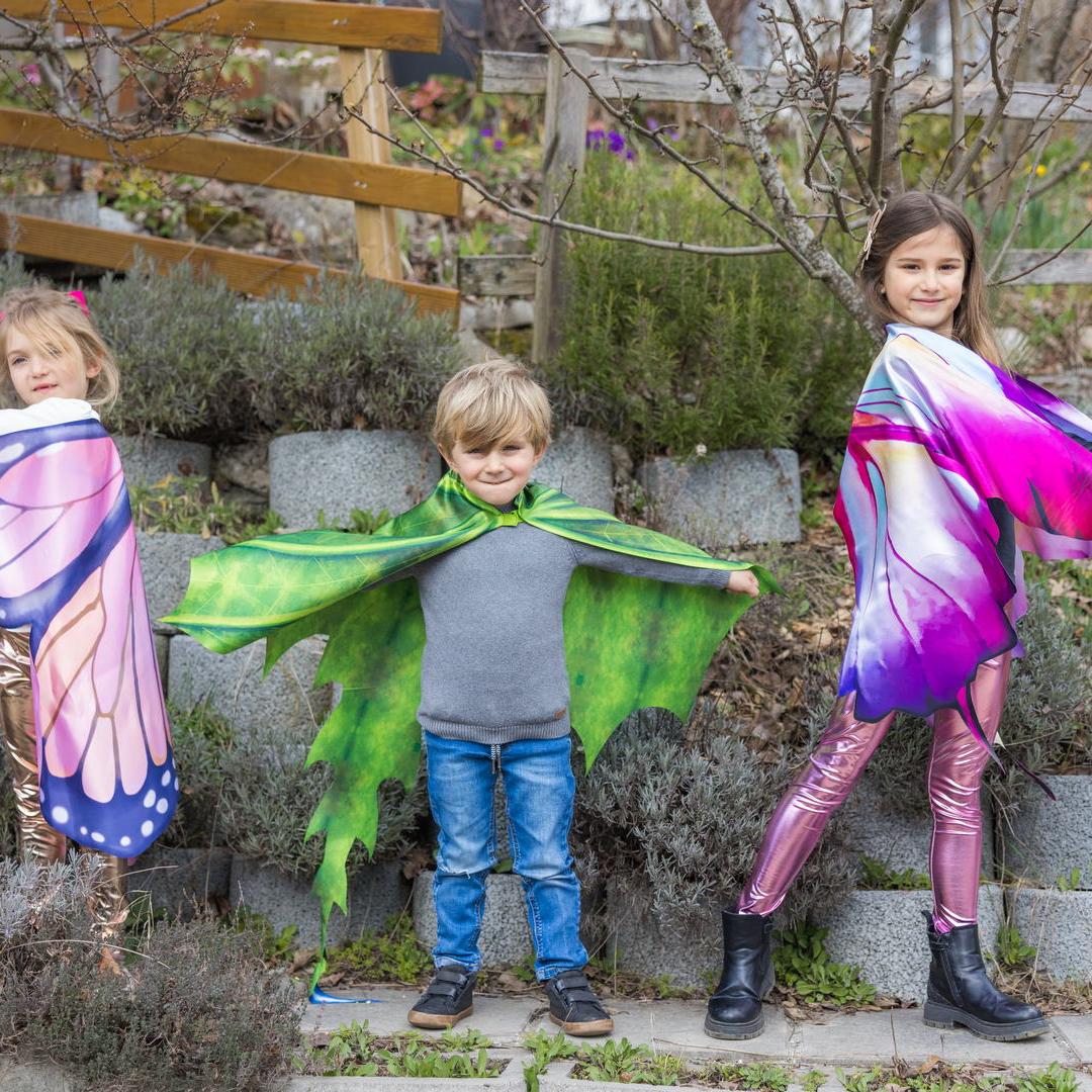 תחפושת 4/6 - כנפי  פרפר  מונרך