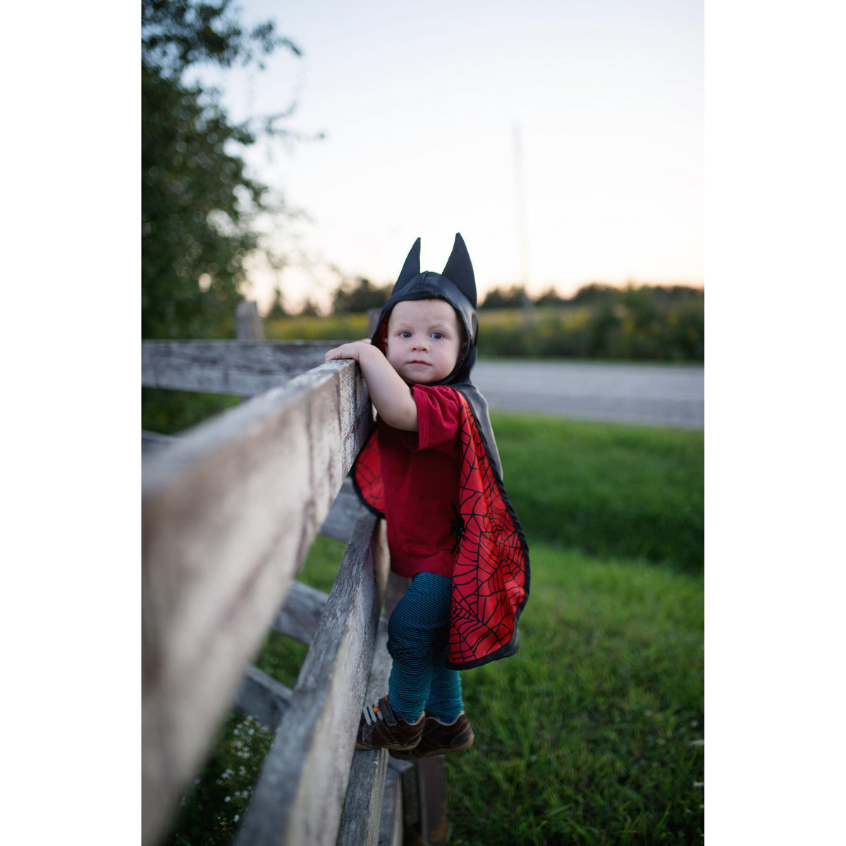 תחפושת 2/3 - סט דו צדדי (גלימה ומסיכה) איש עכביש/עטלף