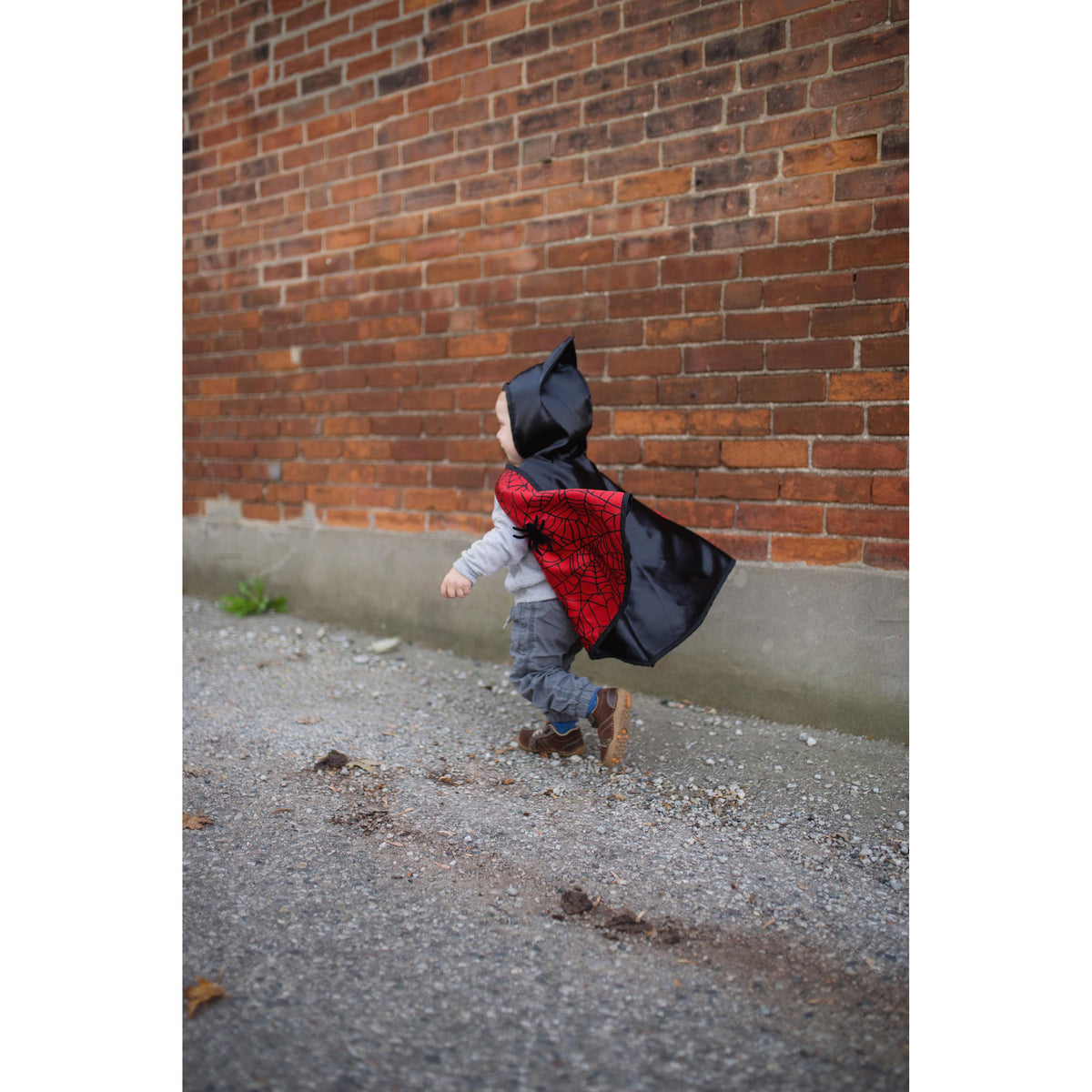 תחפושת 2/3 - סט דו צדדי (גלימה ומסיכה) איש עכביש/עטלף