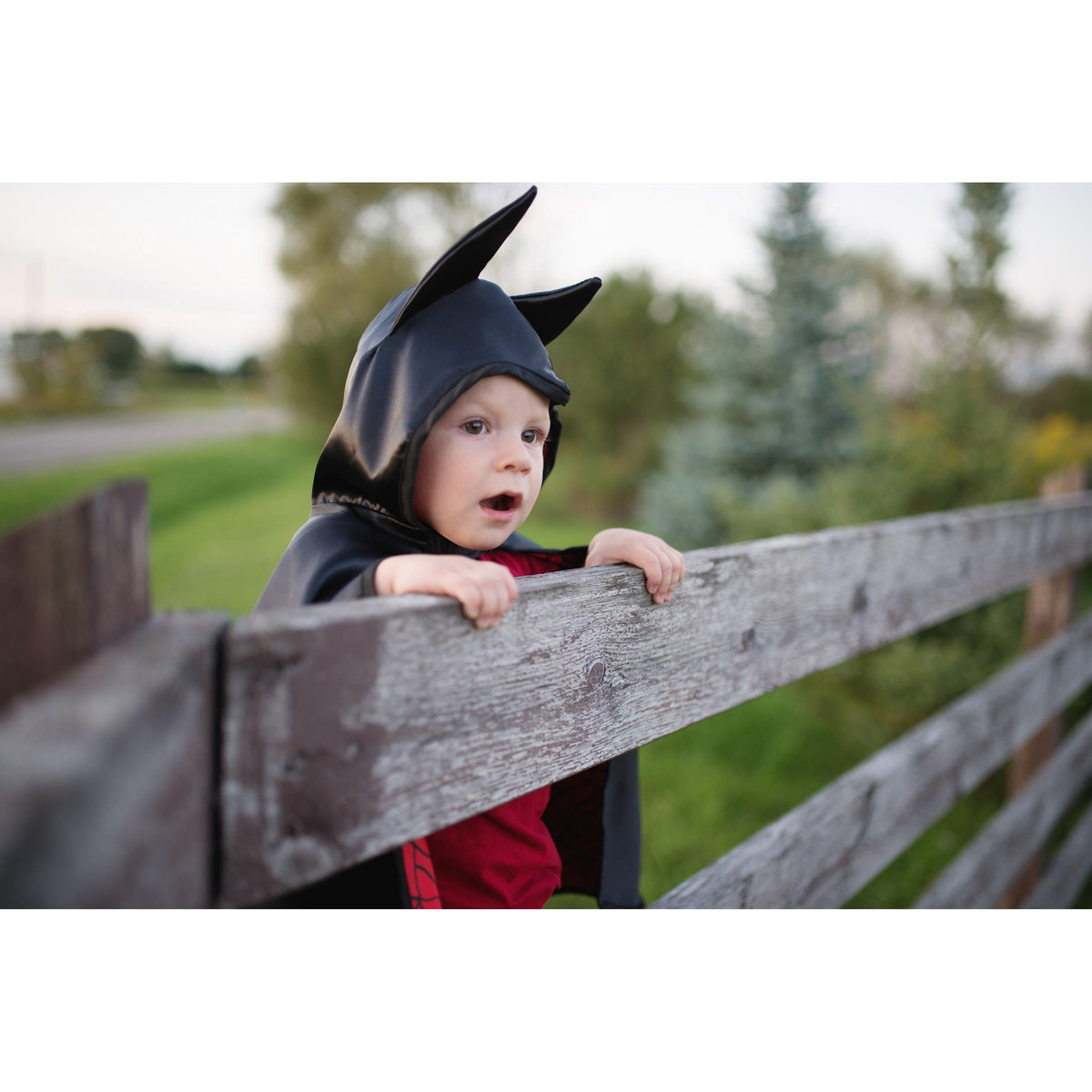 תחפושת 2/3 - סט דו צדדי (גלימה ומסיכה) איש עכביש/עטלף