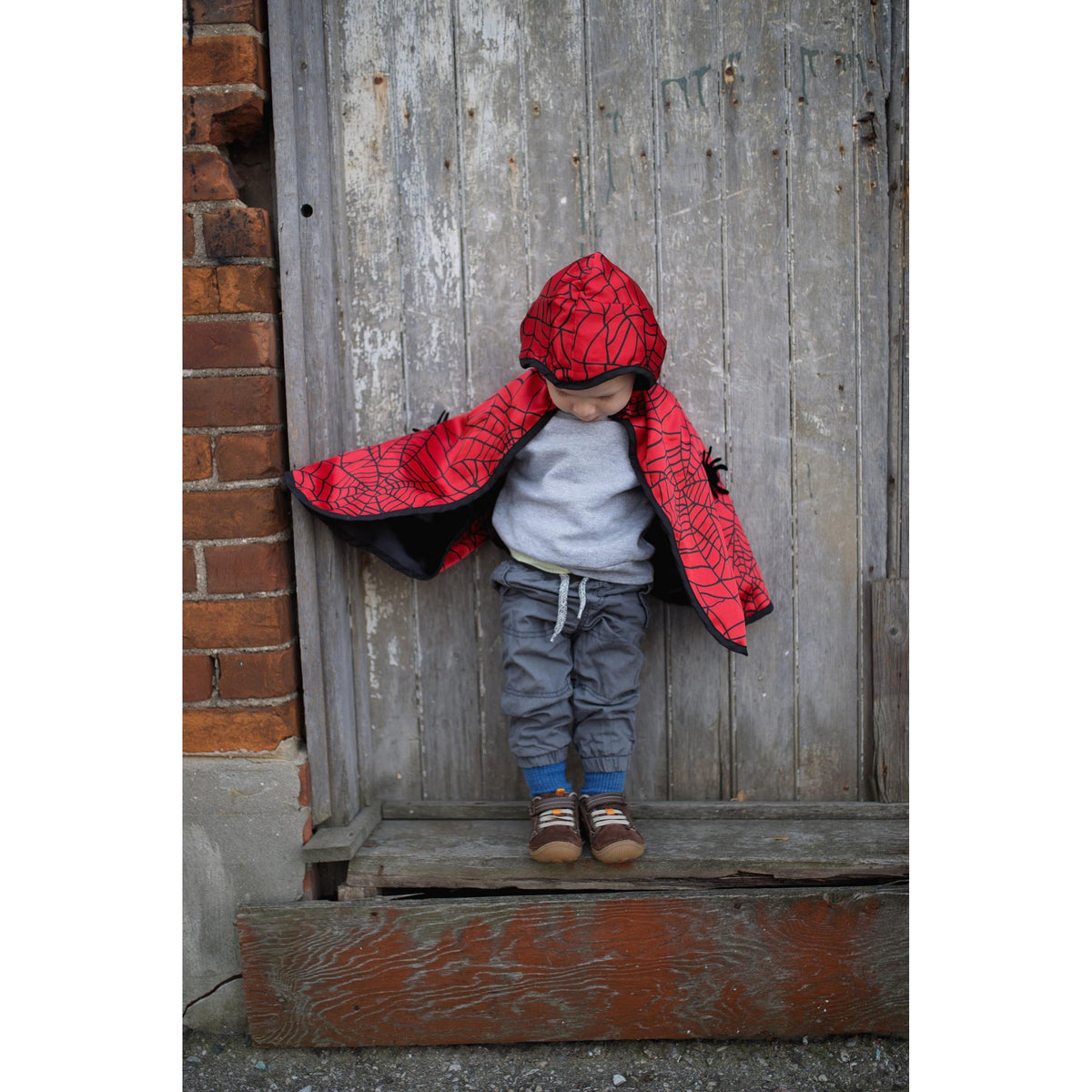 תחפושת 2/3 - סט דו צדדי (גלימה ומסיכה) איש עכביש/עטלף