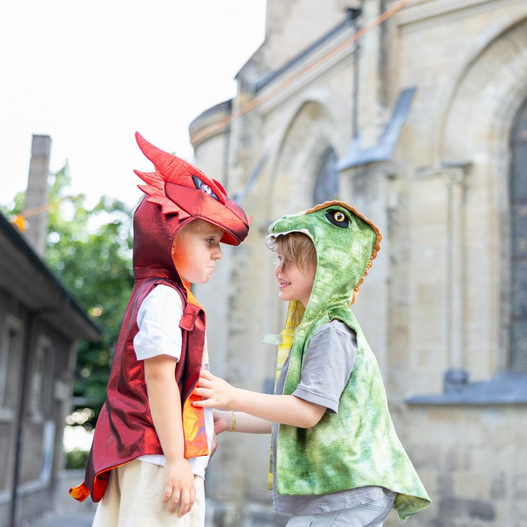 תחפושת ליום יום 3/4 - דינו ( אפודה)