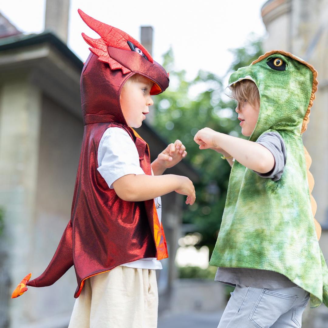 תחפושת ליום יום 3/4 - דינו ( אפודה)