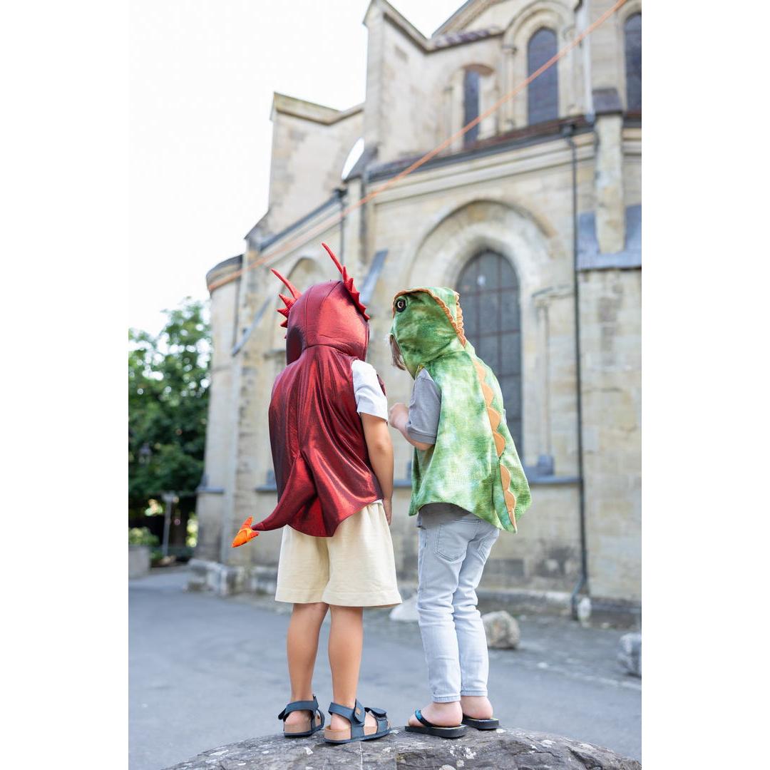 תחפושת ליום יום 3/4 - דינו ( אפודה)