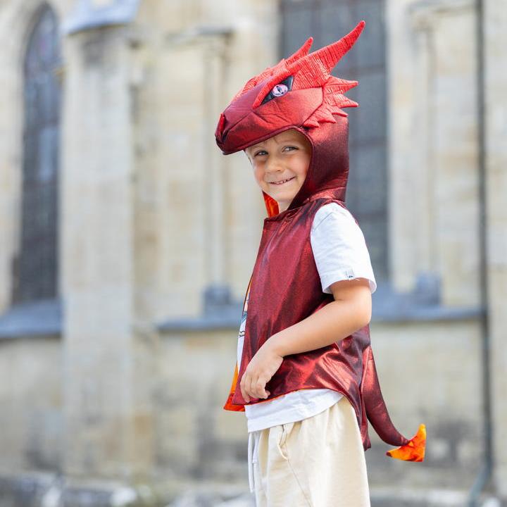 תחפושת ליום יום 3/4 - דרקון ( אפודה)