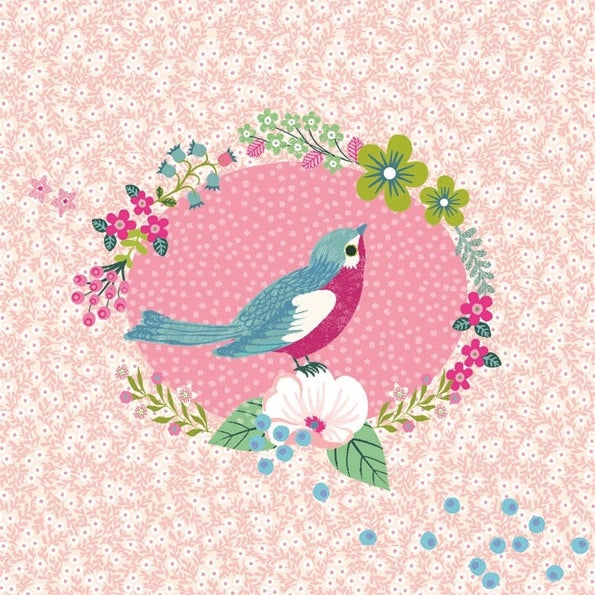 תיבת נגינה - ציפור