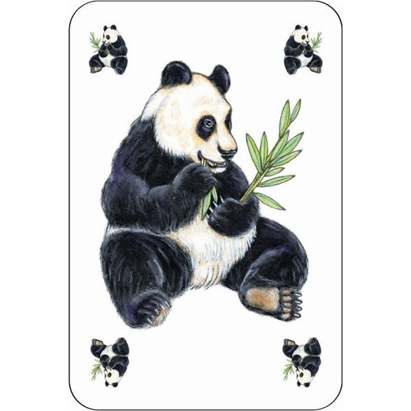 קלפים - זנימץ&#39;