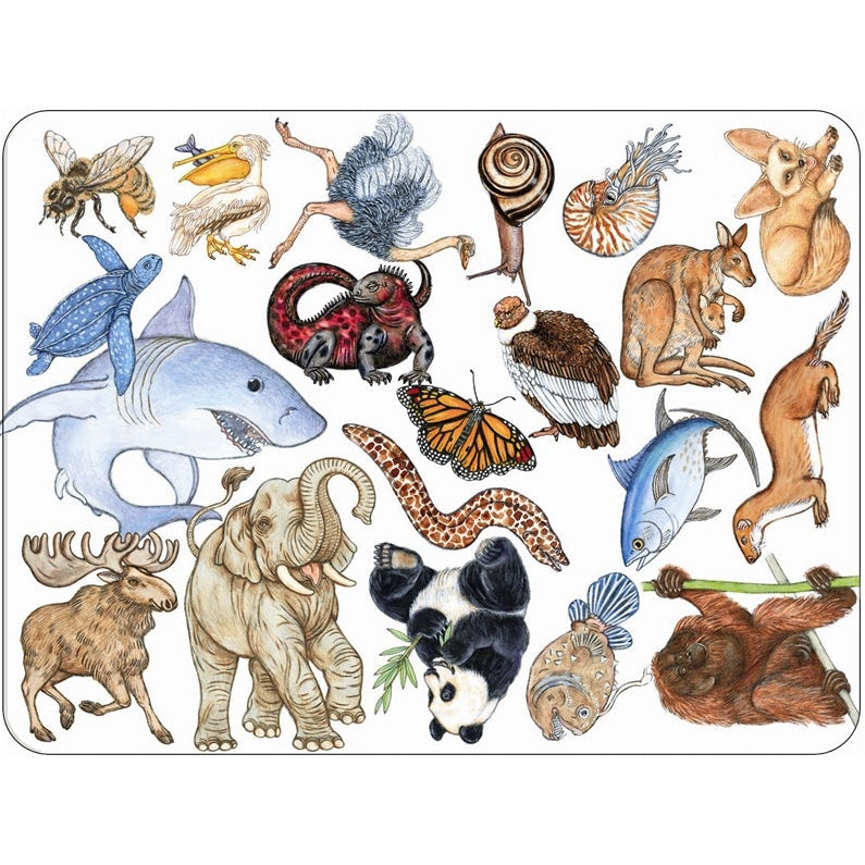 קלפים - זנימץ&#39;