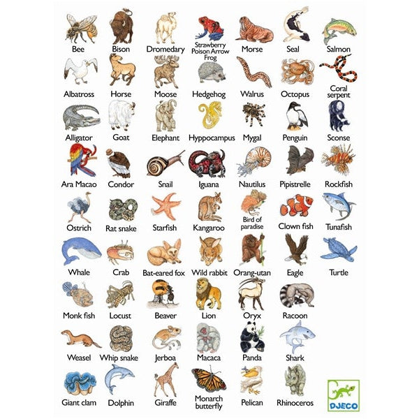 קלפים - זנימץ&#39;