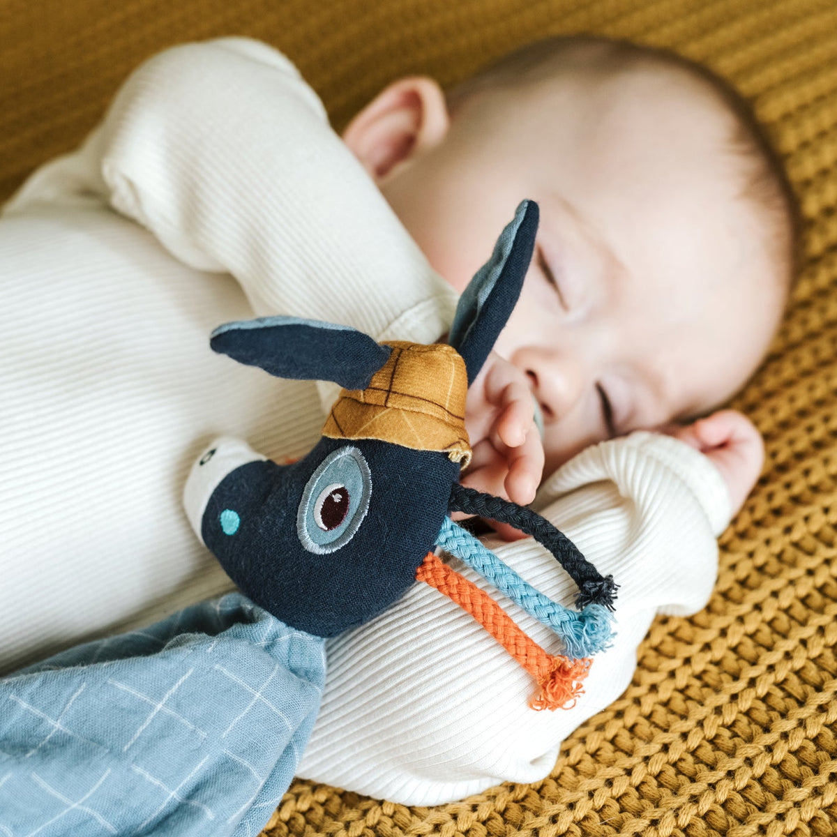 צומי מבד אורגני- איגניס חמוריקו