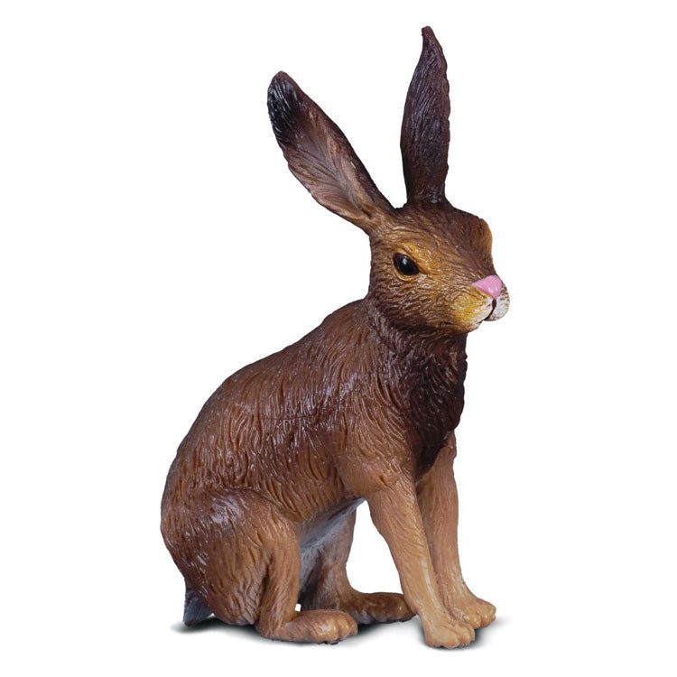 חיות בר- ארנבת אירופית (S) Default Title
