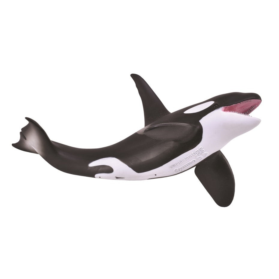 חיות אוקיאנוסים וקרח - לוויתן קטלן (XL) Default Title