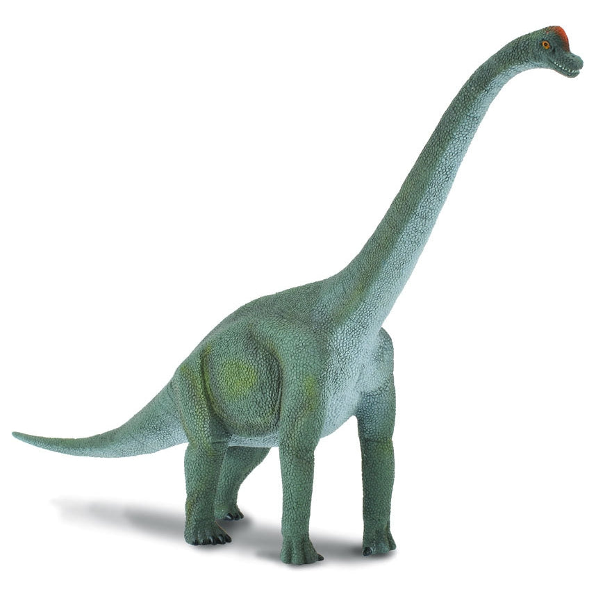 דינוזאורים - ברכיוזאורוס (L) Default Title